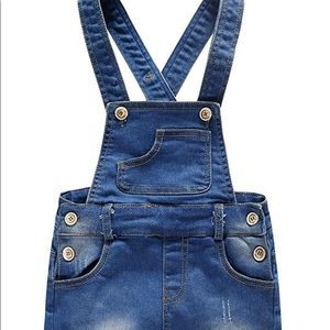 Denim Overall Skirt